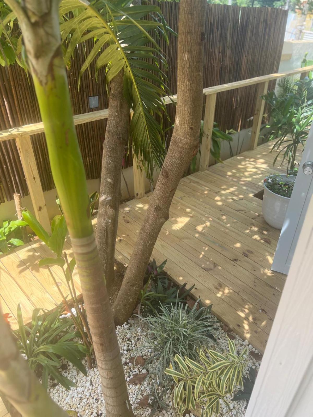 Bella Noni B&B Aguadilla Eksteriør billede