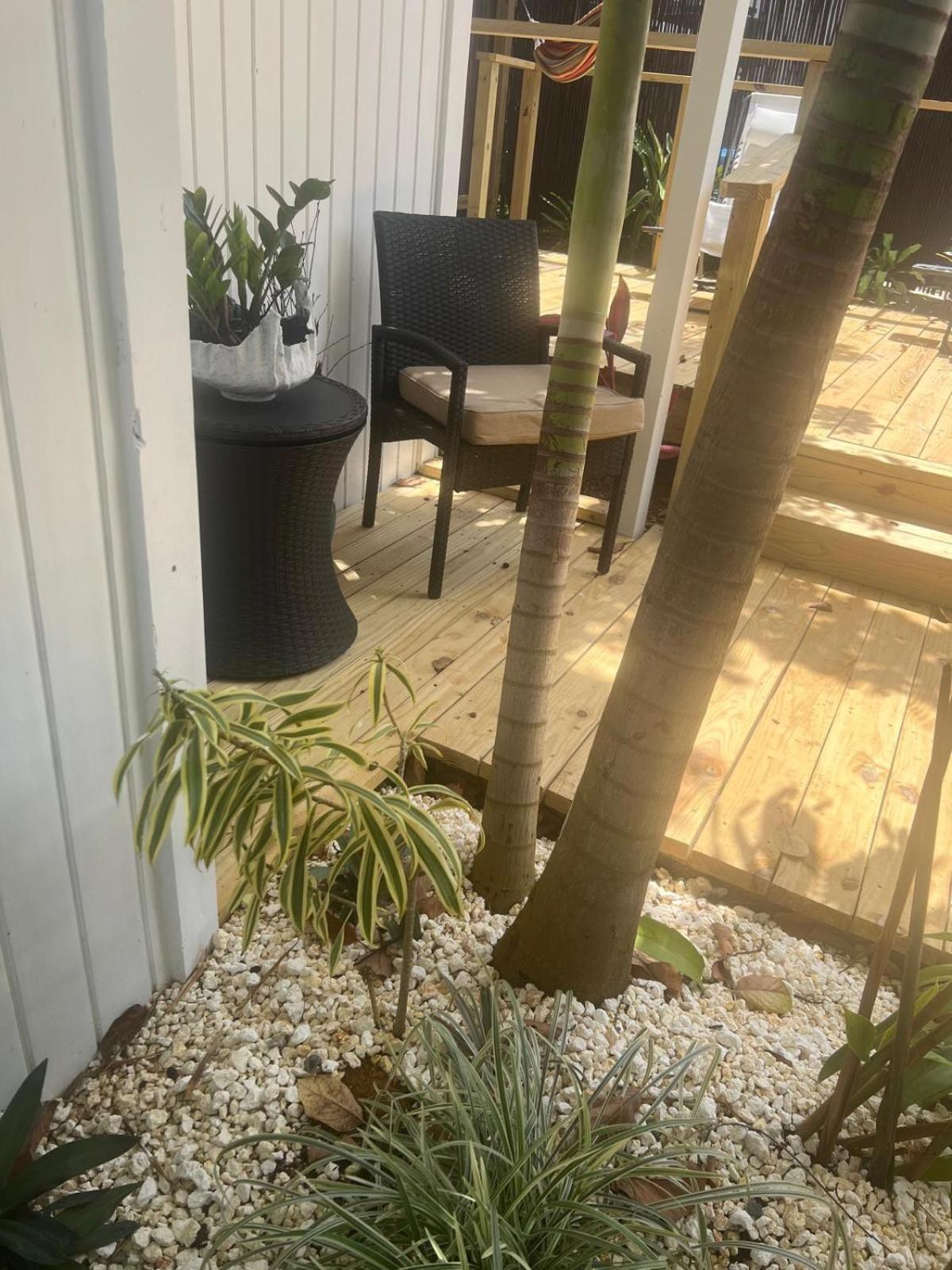 Bella Noni B&B Aguadilla Eksteriør billede