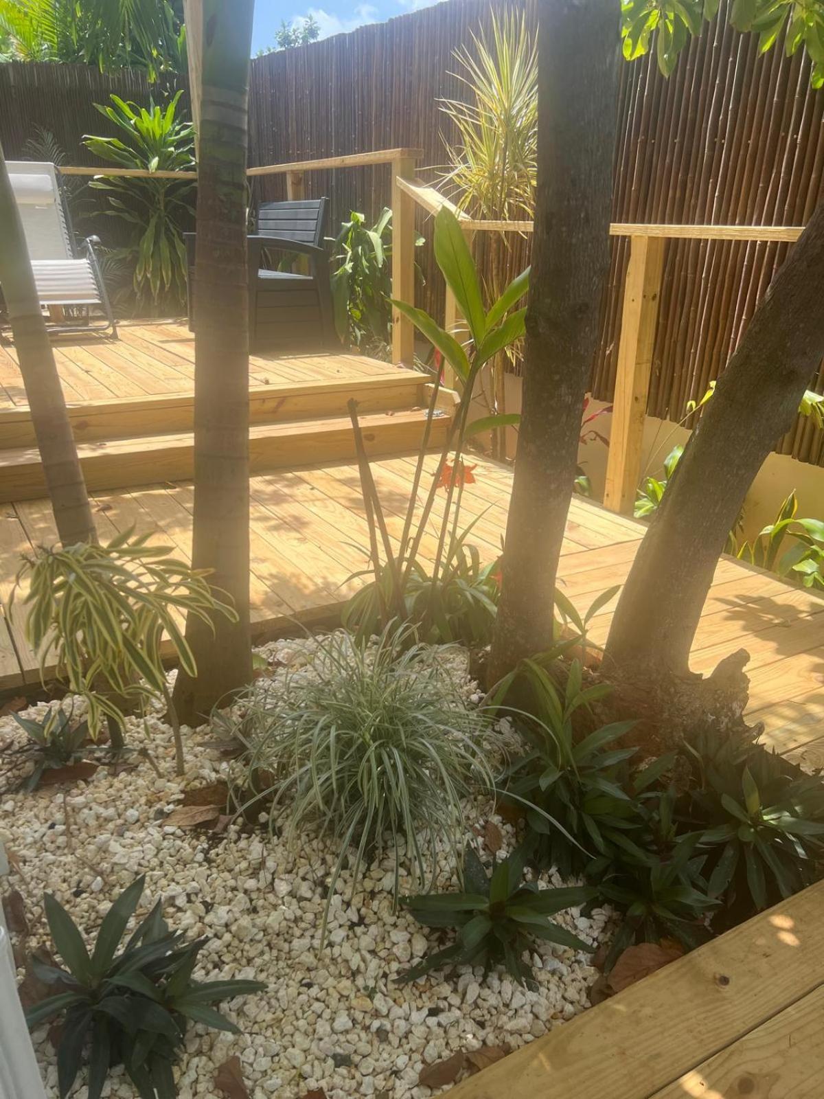 Bella Noni B&B Aguadilla Eksteriør billede